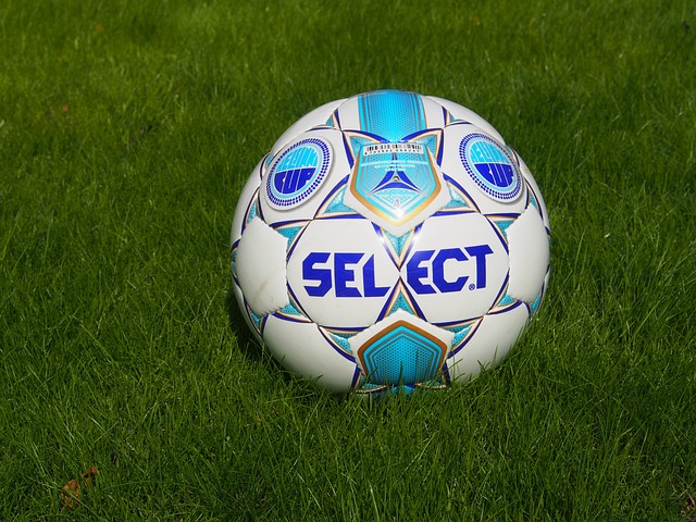 現肢體行為 現肢體行為