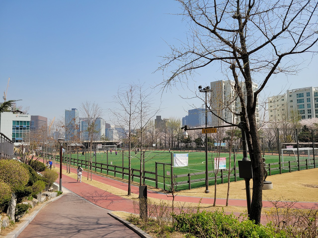 这一动向不 这一动向不