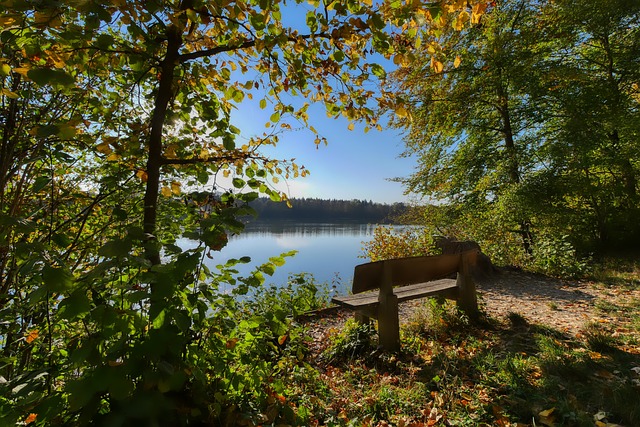 问题与其高 问题与其高