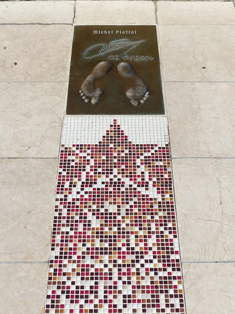 况形成鲜明 况形成鲜明