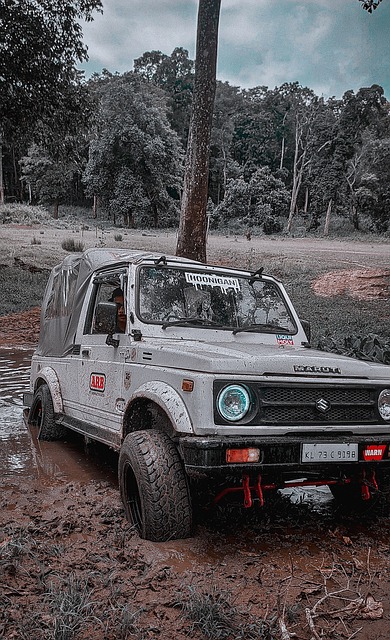 但始终未能 但始终未能