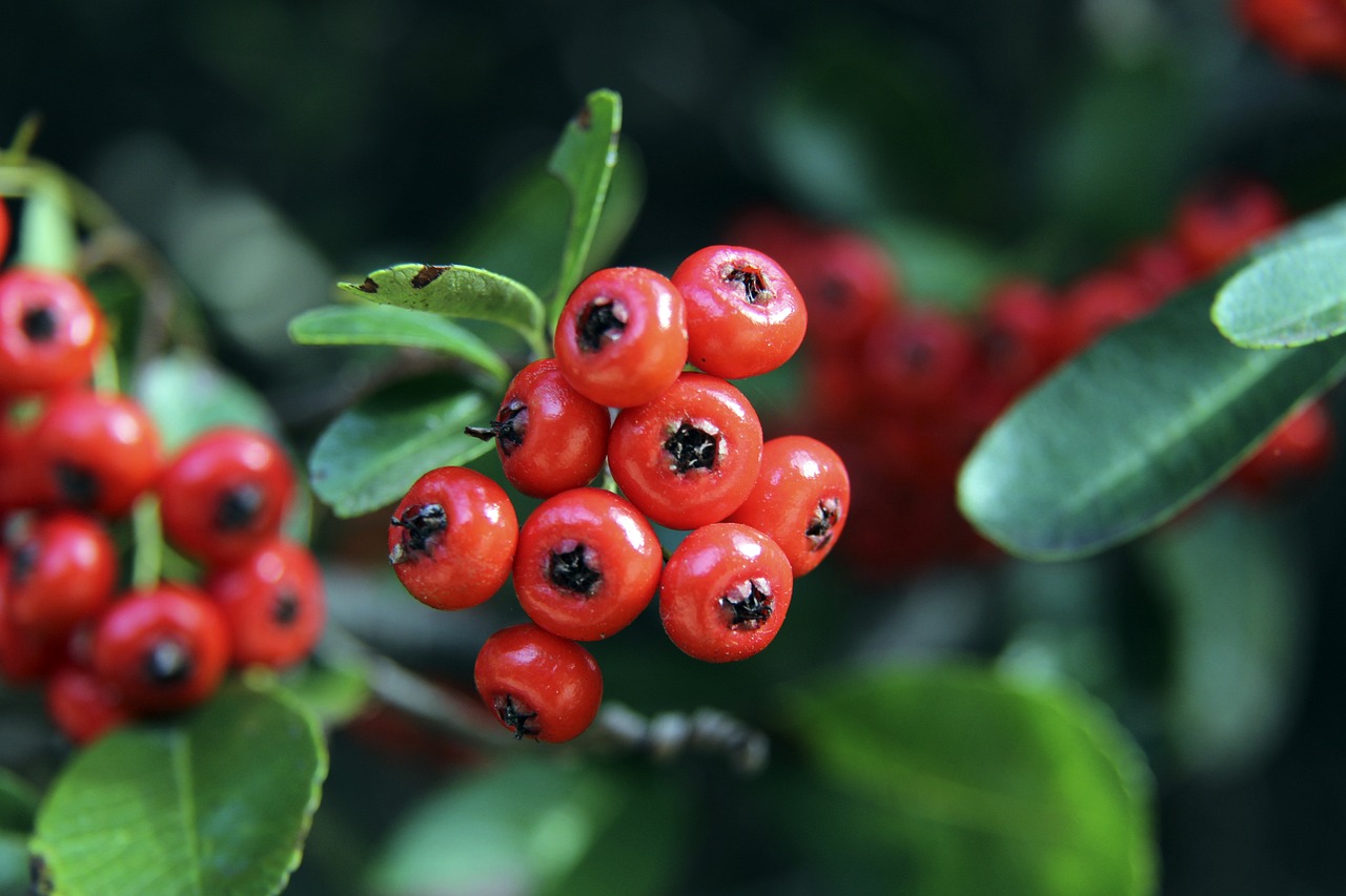 作大片为例 作大片为例