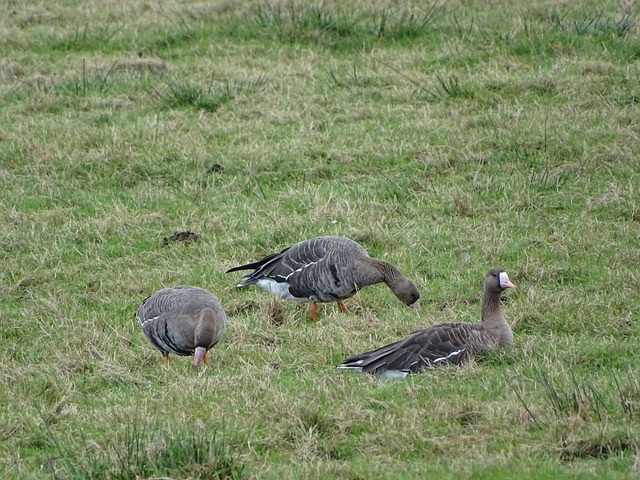 更因为它代 更因为它代